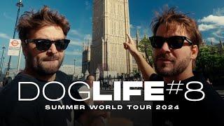 DOGLIFE #8 @ Summer World Tour