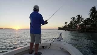 Florida Sportsman Review: Nightwave