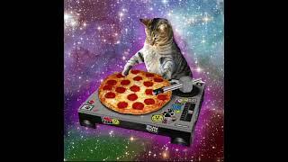 DJ pizza kitty cat  #funny