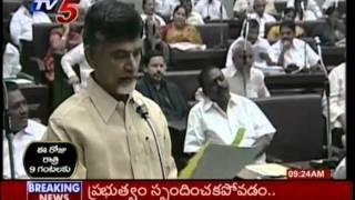 Telugu News - Chandrababu Answering Danam Nagender Comments (TV5) - Part 02