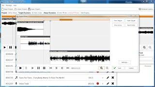 "PlayIt VoiceTrack: Demonstration" by PlayIt Software