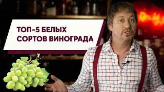 Топ 5 [БЕЛЫХ СОРТОВ] винограда