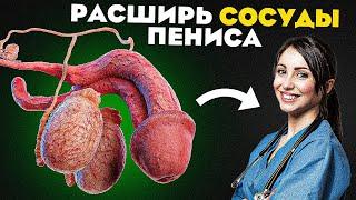 УЛУЧШИТЬ Кровообращение и Повысить ЭРЕКЦИЮ Естественным Путем