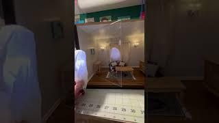 Making a Pepper’s Ghost illusion  #illusion  #opticalillusion #ghost #halloweendecor