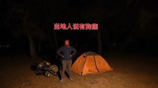 冬季騎行西藏，翻越4800米雪山天黑來到金嶺鄉，樹林裡搭帳篷過夜