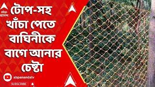 Tiger News: বান্দোয়ান থেকে মানবাজারে এল বাঘিনী, টোপ-সহ খাঁচা পেতে বাগে আনার চেষ্টা চালাচ্ছে বনদফতর |