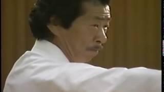 Hoshu Ikeda. Jyoshinmon demonstration. Демонстрация техники Дзёсинмон Икеда Хошу.