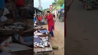 ‍️ How did they steal the fish? #South Korea #United status #Vietnam #india #Brazil