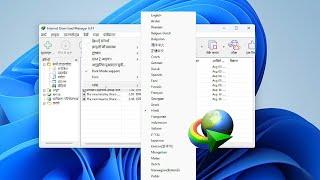 CHANGE INTERNET DOWNLOAD MANAGER LANGUAGE EASILY