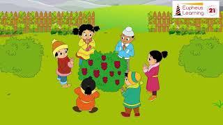 The Mulberry Bush | Preschool 1 | Eupheus Learning