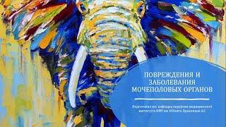 Заболевания органов Мочеполовой системы. Колика. Гематурия. Повреждения.