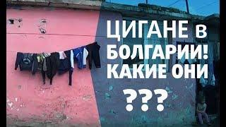 Цигане в Болгарии. Есть с ними проблемы или нет?