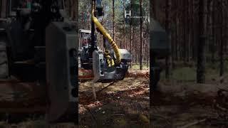 Logging in forestry Deforestation with heavy machinery [wood] || #HMachineryH #MACHINERY