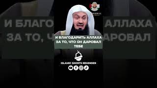 БЛАГОДАРИ АЛЛАХА ЗА УСПЕХ ДРУГИХ #iman #islam #muslim #иман #ислам #истина #намаз #имам #наставление