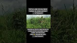20 ACRES IN BUHAMBA -HOIMA ON SALE AT 12M