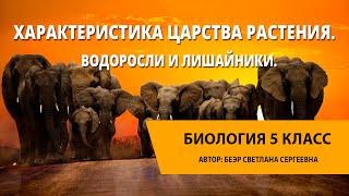 Характеристика царства Растения. Водоросли и лишайники