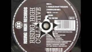 Rising High Collective - Tangled In My Thoughts (Hardfloor Mix) 1994