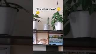 Чё с ним?????