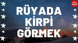 Rüyada Kirpi Görmek Ne Anlama Gelir