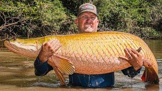 Arapaima, This Fish Has SUPER HUMAN STRENGTH! {Rewa, Guyana}