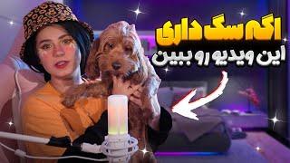 اگه سگ داری حتما باید این ویدیو رو ببینی