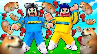 EM BUSCA DOS HAMSTERS PERDIDOS NO ROBLOX FIND THE CHOMIKS - Brancoala Games