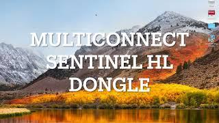 How to set up multi-connect Sentinel HL USB dongle