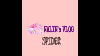 Do you love Spider? | NALYN's VLOG