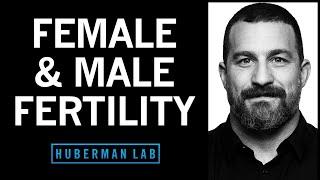 How to Optimize Fertility in Males & Females