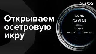 Открываем баночку осетровой икры стоимостью 10 880 ₽ #shorts