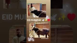 Beautiful New Status video | Eid Mubarak ️ | Hafiz Ahmed Raza Qadri