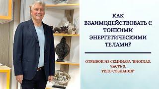 Как взаимодействовать с тонкими энергетическими телами? Отрывок из семинара "БиоГлаз. Тело Сознания"