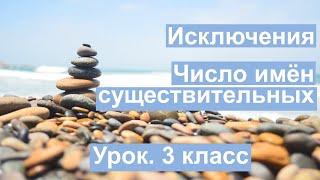 Урок. Число имён существительных. Исключения. Русский язык 3 класс. #учусьсам