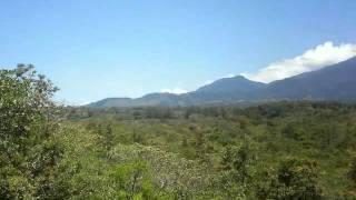LAND FOR SALE IN PANAMA, CHIRIQUI POTRERILLOS $111.000.00)