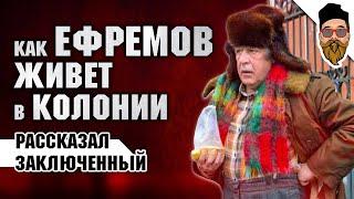 Ефремова в колонии называют дядя Миша, сидит с двумя иностранцами и скидывается на "общак"