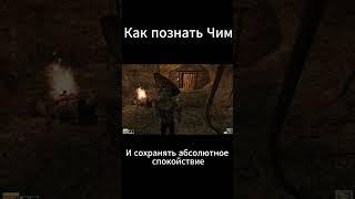 Познать ЧИМ в Морровинд #юмор #морровинд #morrowindmeme  #нарезка