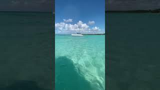 The Secret Paradise of Saona Island: A Once-in-a-Lifetime Experience #shorts