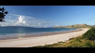 Diving in the Coromandel - Paua Paradise