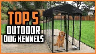  Top 5 Best Outdoor Dog Kennels of 2024