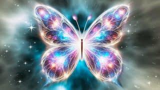 The Butterfly Effect: All the Good You Give Comes Back to You [Morphic Field]