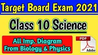 All Important Diagram of Class 10 Science CBSE Board Exam 2021 Labelled Diagram of Biology & Physics