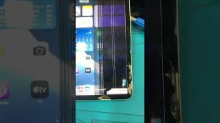 IPad mini 6th gen screen replacement #appleiphone #smartphone #repair #screenreplacement #tablet