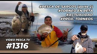 PESCA EN EL CARACOLERO DE CLAROMECÓ, TORNEO EN RETA, ACTUALIDAD, PROX. TORNEOS, PROGRAMA 1316