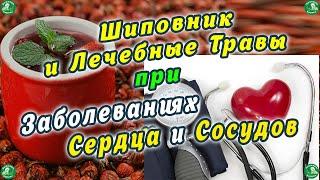 Шиповник и Лечебные Травы при Заболеваниях Сердца и Сосудов ️ Знахарь-Кирилл ‍