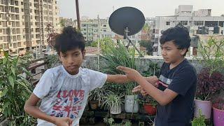 Terrace Gardening tour by Ankit and Ayush. |AA BoX Vlog