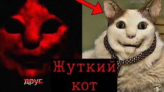 ЖУТКИЙ КОТ ИЗ ТИК-ТОКА | Откуда он?