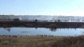 Нищення Землі заради землі - війна без переможців.