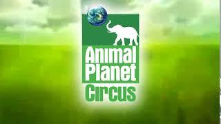 Animal Planet Circus