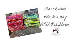 March 2025 Block a day with @PatSloan  (quilt top surgery was needed )