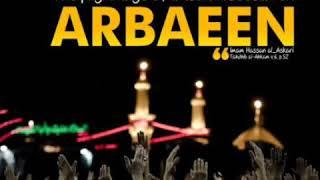 #karbala#ziarat#dream#heaven#ImamHussain